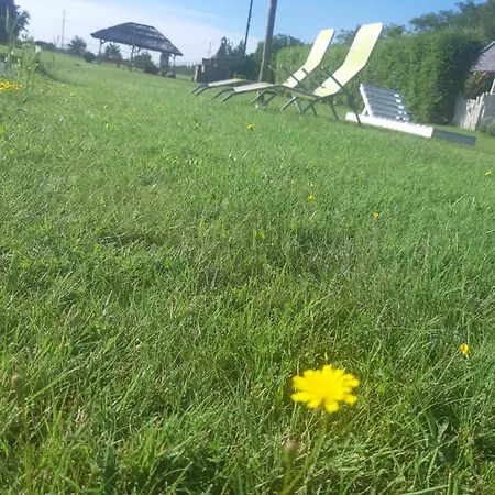 Apartment Mirella